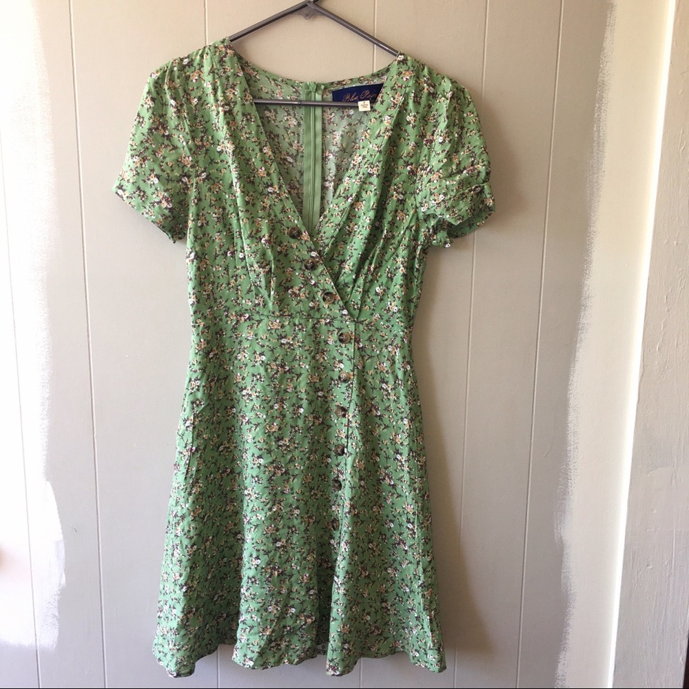 Francesca’s Blue Rain Light Green Floral Dress